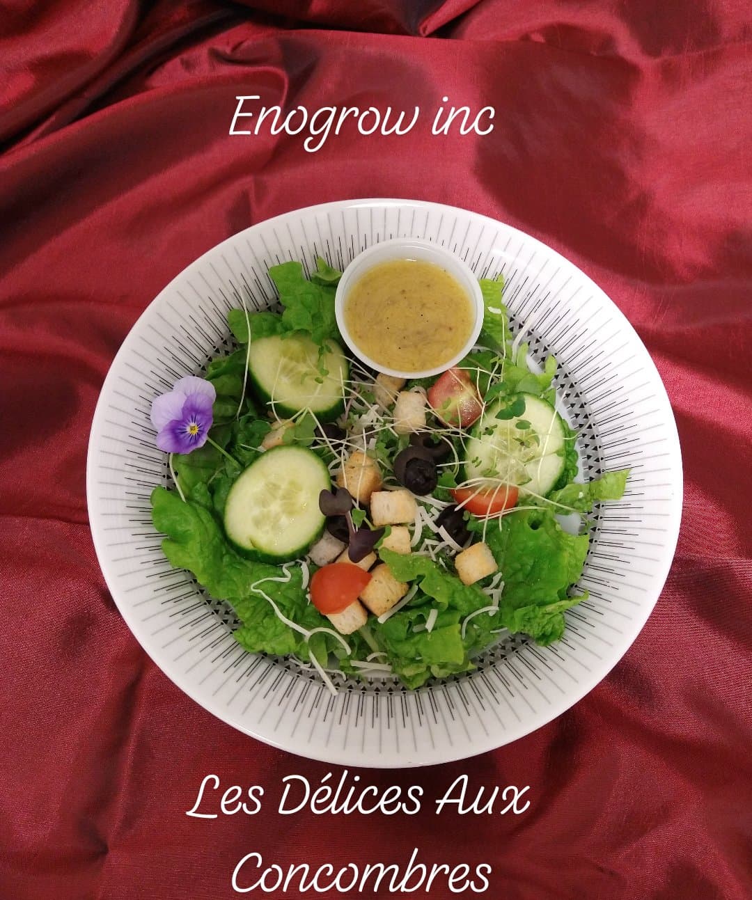 Salade au concombres
